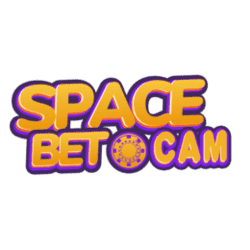 different types of sudoku games
